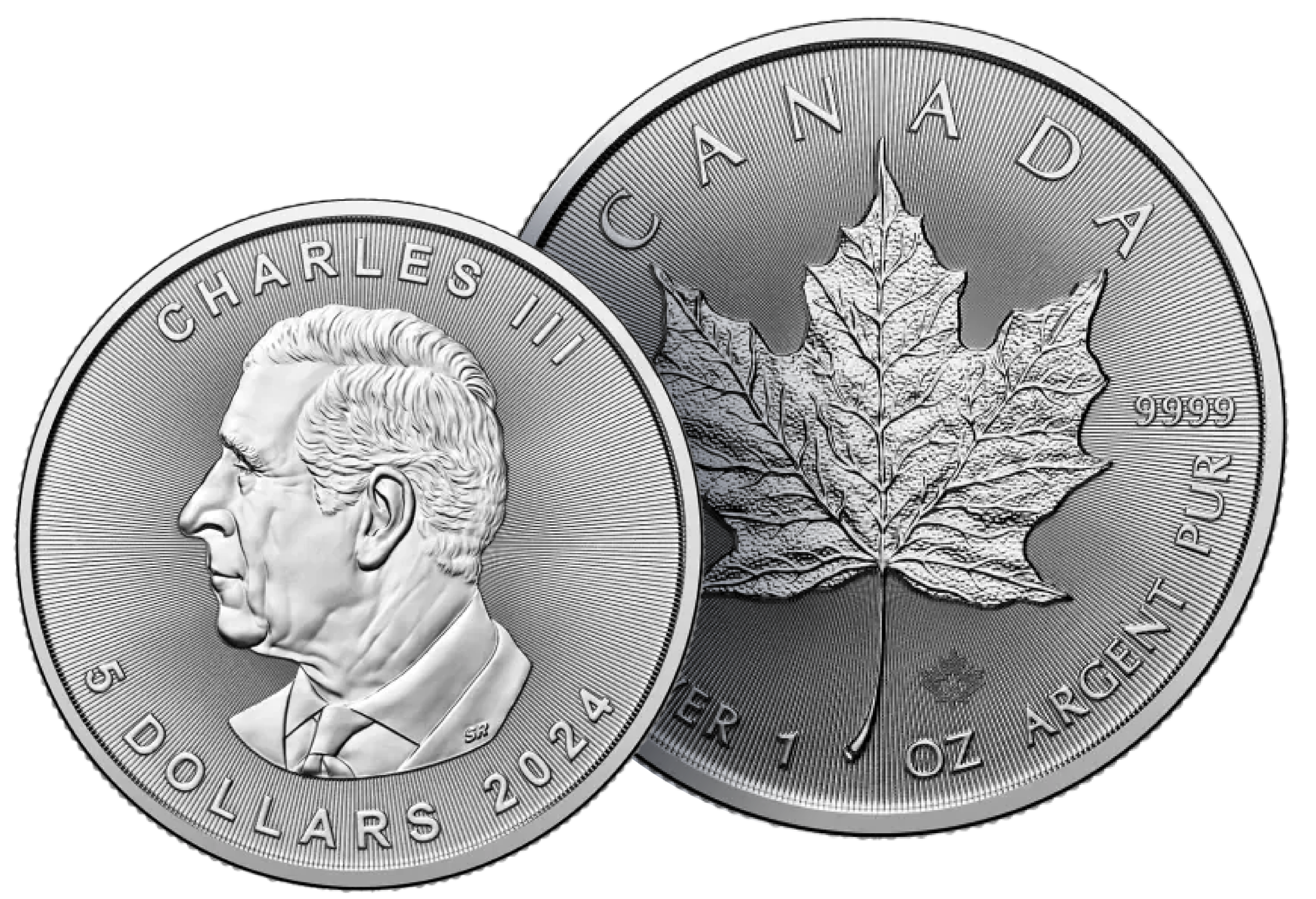Đồng Bạc Maple Leaf 1 OZ 2024 (8.3 Chỉ)